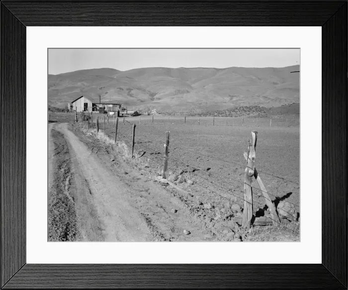 Framed Print : A new house for descendant of old Idaho family... Gem County, Idaho, 1939. Creator: Dorothea Lange Framed Print : A new house for descendant of old Idaho family... Gem County, Idaho, 1939. Creator: Dorothea Lange
