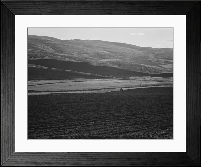 Framed Print : Newly-plowed fields on land... member of Ola self-help sawmill co-op, Gem County, Idaho, 1939. Creator: Dorothea Lange Framed Print : Newly-plowed fields on land... member of Ola self-help sawmill co-op, Gem County, Idaho, 1939. Creator: Dorothea Lange