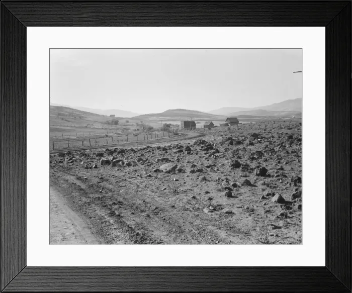 Framed Print : Road up the valley toward Ola self-help sawmill co-op, Gem County, Idaho, 1939. Creator: Dorothea Lange Framed Print : Road up the valley toward Ola self-help sawmill co-op, Gem County, Idaho, 1939. Creator: Dorothea Lange