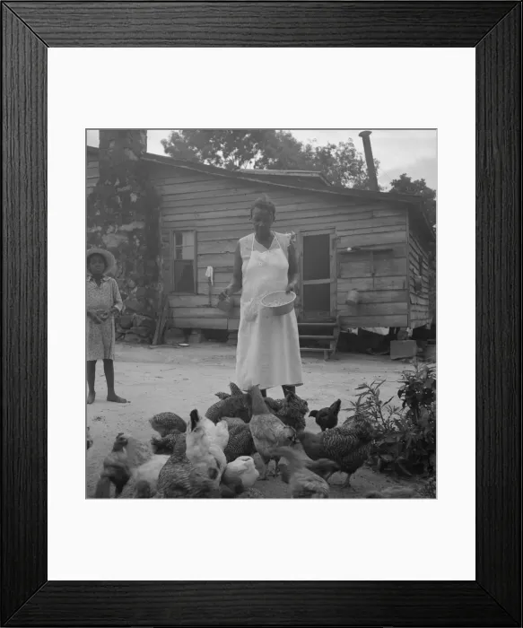 Framed Print : Noontime chores: feeding chickens... Granville County, North Carolina, 1939. Creator: Dorothea Lange Framed Print : Noontime chores: feeding chickens... Granville County, North Carolina, 1939. Creator: Dorothea Lange