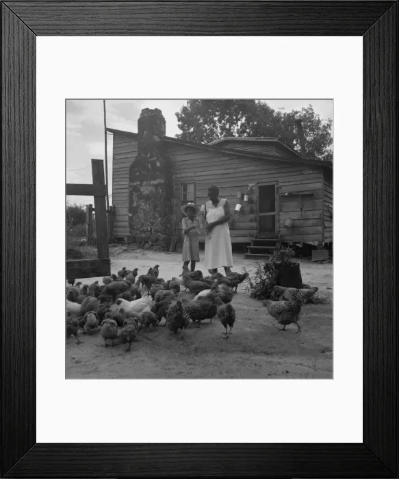 Framed Print : Noontime chores: feeding chickens on Negro tenant farm, Granville County, North Carolina, 1939. Creator: Dorothea Lange Framed Print : Noontime chores: feeding chickens on Negro tenant farm, Granville County, North Carolina, 1939. Creator: Dorothea Lange