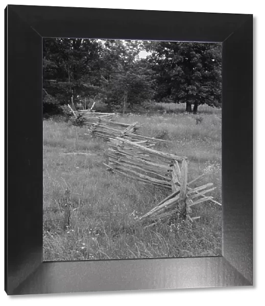 Rail fence with poor barbed wire fence in foreground, Person County, North Carolina, 1939. Creator: Dorothea Lange