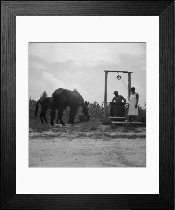 Framed Print : Noontime chores, Granville County, North Carolina, 1939. Creator: Dorothea Lange Framed Print : Noontime chores, Granville County, North Carolina, 1939. Creator: Dorothea Lange