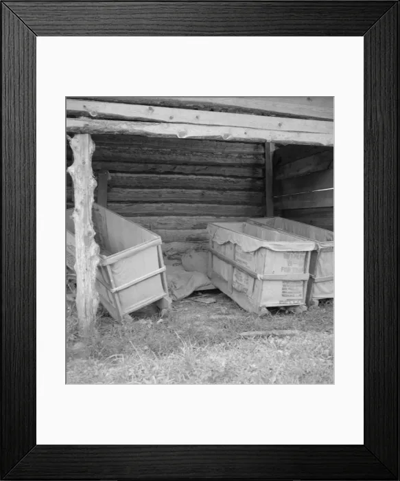 Framed Print : Tobacco sleds newly covered with tow sacks, ready for... tobacco, Person County, North Carolina, 1939 Creator: Dorothea Lange Framed Print : Tobacco sleds newly covered with tow sacks, ready for... tobacco, Person County, North Carolina, 1939 Creator: Dorothea Lange