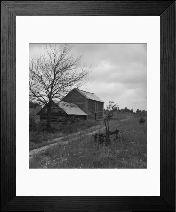 Framed Print : Hillside Farm road leading from sharecroppers house... Person County, North Carolina, 1939. Creator: Dorothea Lange Framed Print : Hillside Farm road leading from sharecroppers house... Person County, North Carolina, 1939. Creator: Dorothea Lange