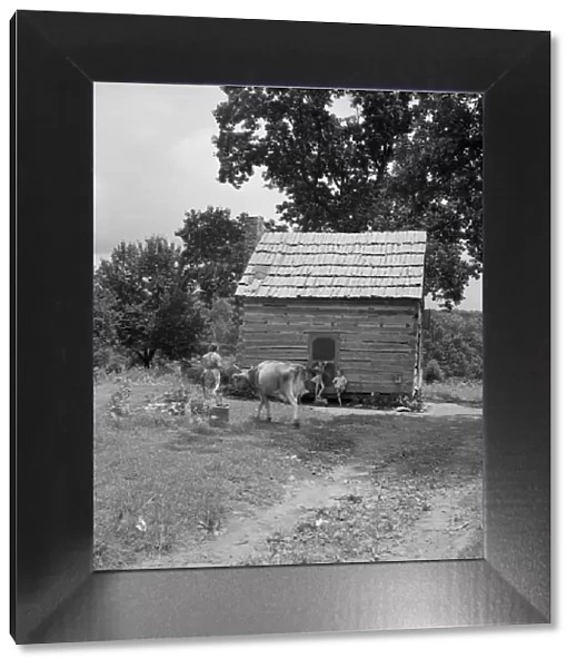 Log home of non-farm family, Orange County, North Carolina, 1939. Creator: Dorothea Lange