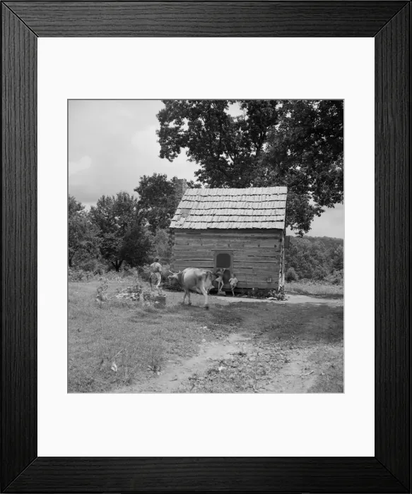 Framed Print : Log home of non-farm family, Orange County, North Carolina, 1939. Creator: Dorothea Lange Framed Print : Log home of non-farm family, Orange County, North Carolina, 1939. Creator: Dorothea Lange