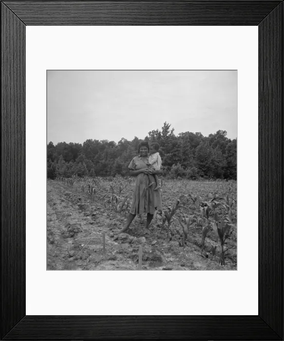 Framed Print : Wife and child of... sharecropper... Hillside Farm, Person County, North Carolina, 1939. Creator: Dorothea Lange Framed Print : Wife and child of... sharecropper... Hillside Farm, Person County, North Carolina, 1939. Creator: Dorothea Lange