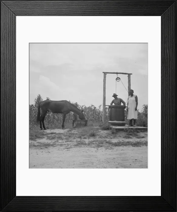 Framed Print : Possibly: Noontime chores, Granville County, North Carolina, 1939. Creator: Dorothea Lange Framed Print : Possibly: Noontime chores, Granville County, North Carolina, 1939. Creator: Dorothea Lange