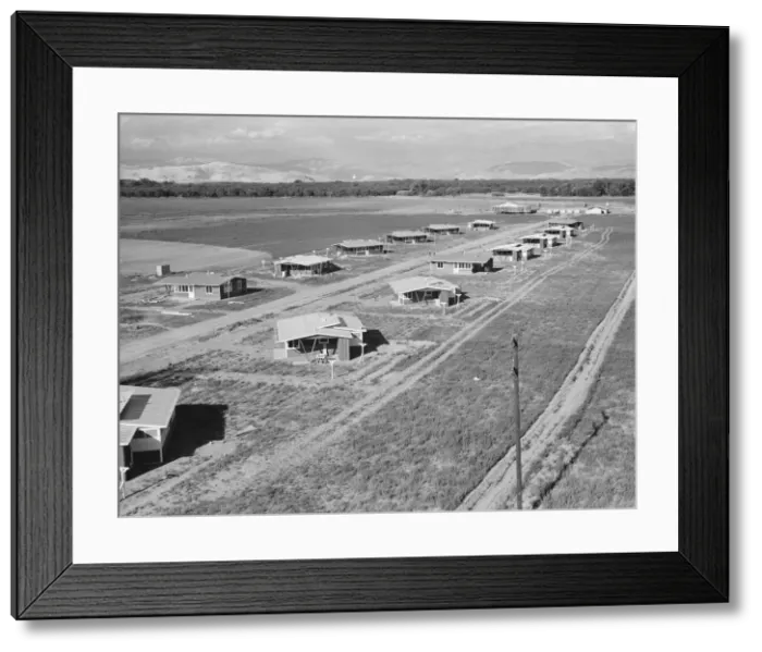 Framed Print : New homes for families on the Mineral King cooperative farms, Tulare County, California, 1939. Creator: Dorothea Lange Framed Print : New homes for families on the Mineral King cooperative farms, Tulare County, California, 1939. Creator: Dorothea Lange