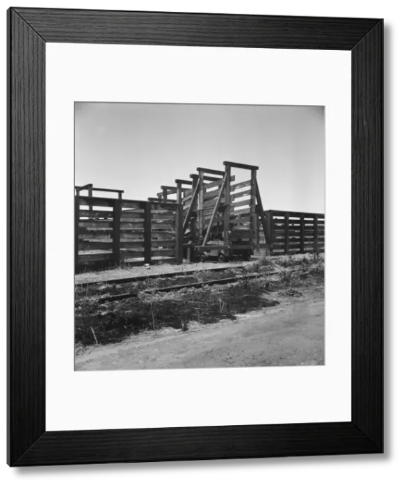 Framed Print : Cattle chute and part of corral, Fresno County on U. S. 99, 1939. Creator: Dorothea Lange Framed Print : Cattle chute and part of corral, Fresno County on U. S. 99, 1939. Creator: Dorothea Lange