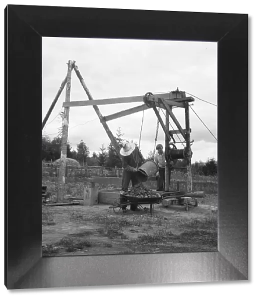 Possibly: Kytta family, FSA borrowers on non-commercial experiment, Michigan Hill, Washington, 1939. Creator: Dorothea Lange