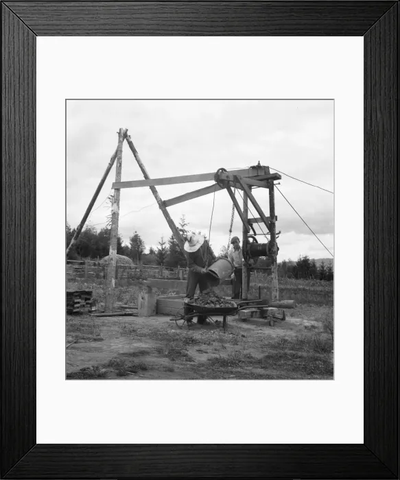 Framed Print : Possibly: Kytta family, FSA borrowers on non-commercial experiment, Michigan Hill, Washington, 1939. Creator: Dorothea Lange Framed Print : Possibly: Kytta family, FSA borrowers on non-commercial experiment, Michigan Hill, Washington, 1939. Creator: Dorothea Lange