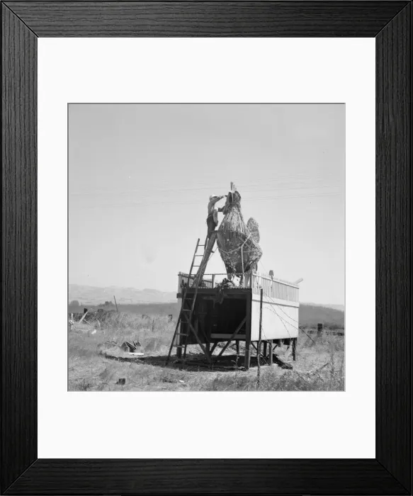 Framed Print : Roadside sculpture (under repair) on U. S. 101, entering Petaluma, Sonoma County, 1939. Creator: Dorothea Lange Framed Print : Roadside sculpture (under repair) on U. S. 101, entering Petaluma, Sonoma County, 1939. Creator: Dorothea Lange