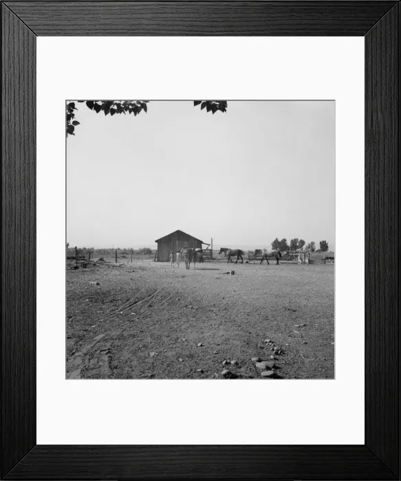 Framed Print : Possibly: Chris Adolf, his team, and... children on their new farm, Washington, Yakima Valley, 1939. Creator: Dorothea Lange Framed Print : Possibly: Chris Adolf, his team, and... children on their new farm, Washington, Yakima Valley, 1939. Creator: Dorothea Lange