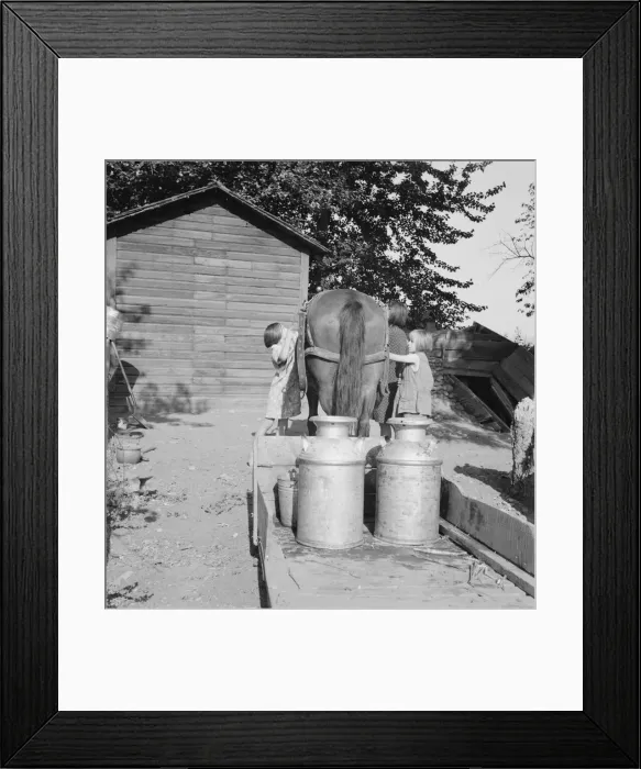 Framed Print : All Chris Adolfs children are hard workers on the new place, Yakima Valley, Washington, 1939. Creator: Dorothea Lange Framed Print : All Chris Adolfs children are hard workers on the new place, Yakima Valley, Washington, 1939. Creator: Dorothea Lange