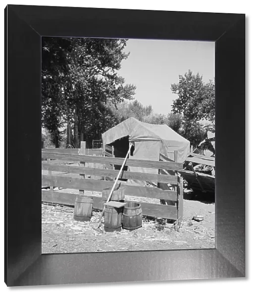 Shelter in one of the large shacktown communities around Yakima, Washington, Sumac Park, 1939. Creator: Dorothea Lange