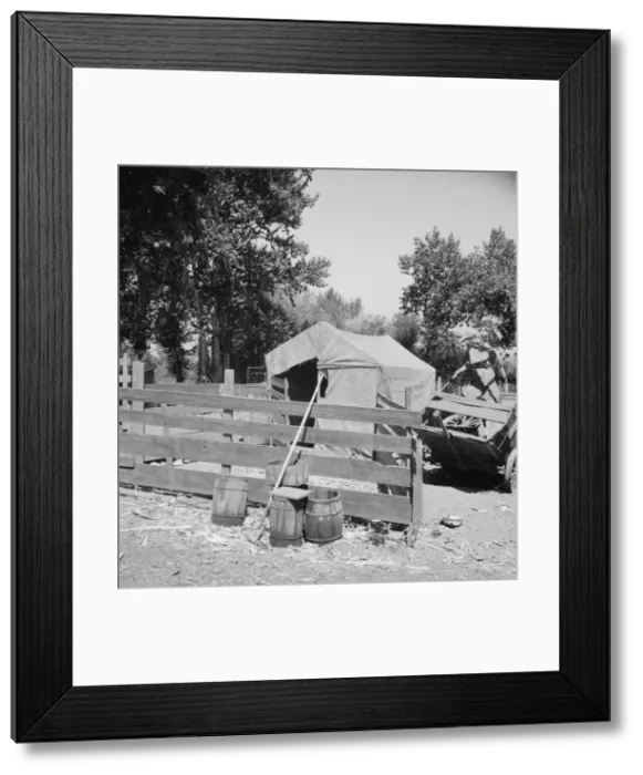 Framed Print : Shelter in one of the large shacktown communities around Yakima, Washington, Sumac Park, 1939. Creator: Dorothea Lange Framed Print : Shelter in one of the large shacktown communities around Yakima, Washington, Sumac Park, 1939. Creator: Dorothea Lange