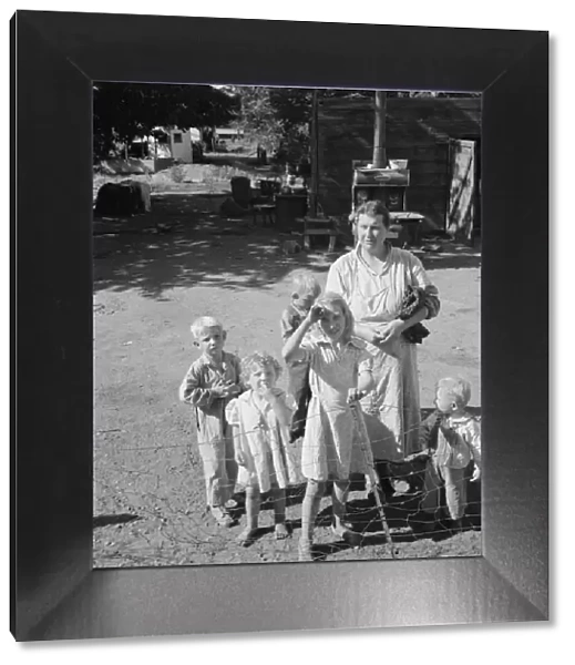 Family living in shacktown community, mostly from Kansas and... Washington, Yakima Valley, 1939. Creator: Dorothea Lange