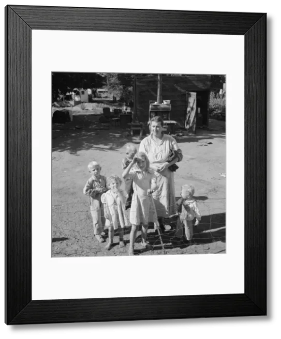 Framed Print : Family living in shacktown community, mostly from Kansas and... Washington, Yakima Valley, 1939. Creator: Dorothea Lange Framed Print : Family living in shacktown community, mostly from Kansas and... Washington, Yakima Valley, 1939. Creator: Dorothea Lange