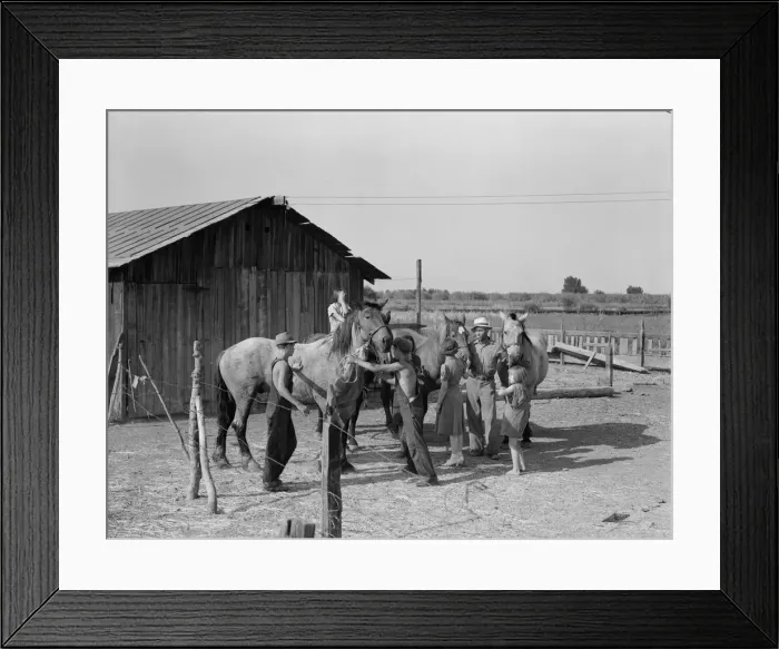 Framed Print : Chris Adolf, his team, and six of his children on their new farm, Washington, Yakima Valley, 1939. Creator: Dorothea Lange Framed Print : Chris Adolf, his team, and six of his children on their new farm, Washington, Yakima Valley, 1939. Creator: Dorothea Lange