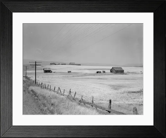 Framed Print : Washington, Klickitat County, near Goldendale, 1939. Creator: Dorothea Lange Framed Print : Washington, Klickitat County, near Goldendale, 1939. Creator: Dorothea Lange