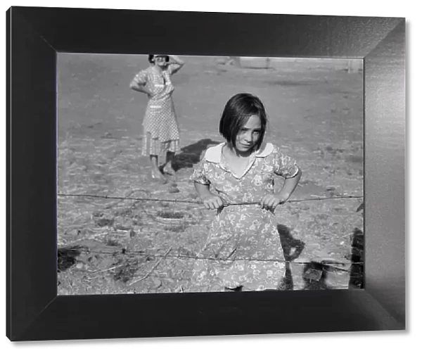 One of Chris Adolphs younger children, FSA Rehab... near Wapato, Yakima Valley, Washington, 1939. Creator: Dorothea Lange