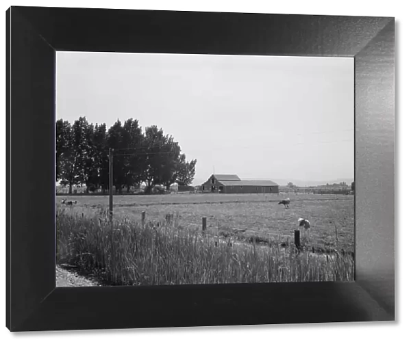 Possibly: West of Toppenish, Yakima Valley, Washington, 1939. Creator: Dorothea Lange