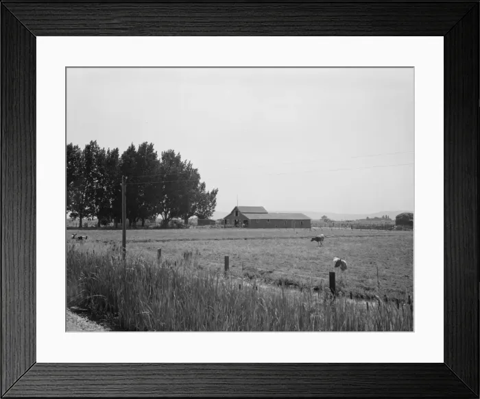 Framed Print : Possibly: West of Toppenish, Yakima Valley, Washington, 1939. Creator: Dorothea Lange Framed Print : Possibly: West of Toppenish, Yakima Valley, Washington, 1939. Creator: Dorothea Lange