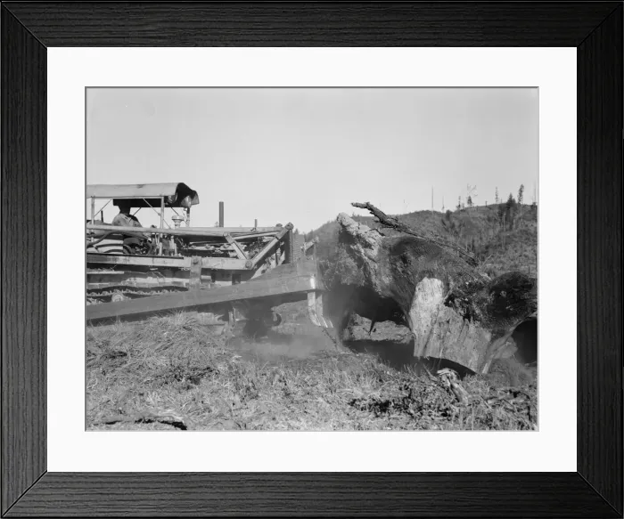 Framed Print : Bulldozer raises and pushes stump on cut-over farm, Lewis County, Western Washington, 1939. Creator: Dorothea Lange Framed Print : Bulldozer raises and pushes stump on cut-over farm, Lewis County, Western Washington, 1939. Creator: Dorothea Lange