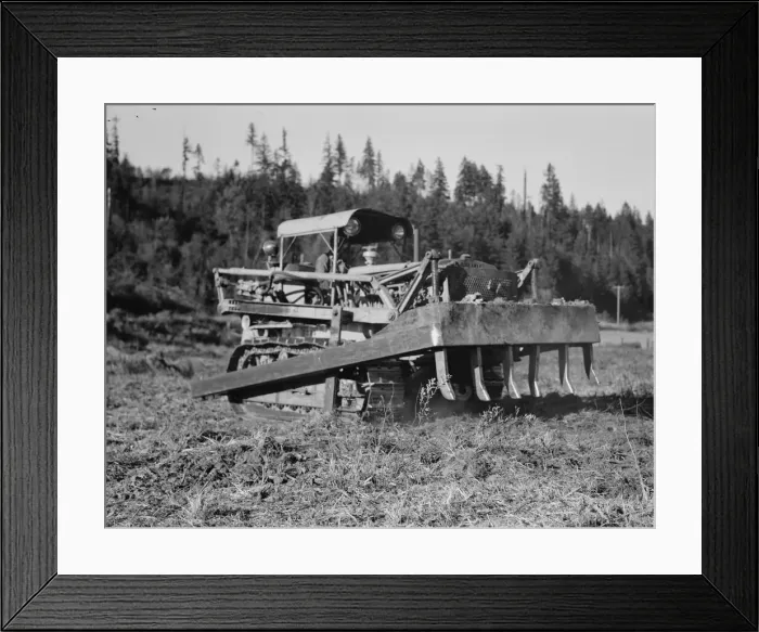 Framed Print : Possibly: Bulldozer raises and pushes stump on cut-over farm, Lewis County, Western Washington, 1939 Creator: Dorothea Lange Framed Print : Possibly: Bulldozer raises and pushes stump on cut-over farm, Lewis County, Western Washington, 1939 Creator: Dorothea Lange