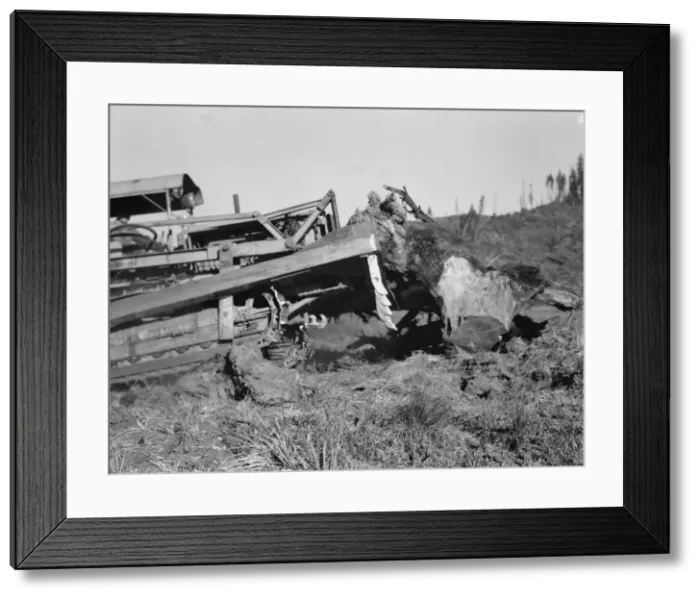 Framed Print : Possibly: Bulldozer raises and pushes stump on cut-over farm, Lewis County, Western Washington, 1939 Creator: Dorothea Lange Framed Print : Possibly: Bulldozer raises and pushes stump on cut-over farm, Lewis County, Western Washington, 1939 Creator: Dorothea Lange