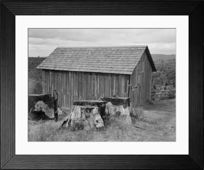 Framed Print : Part of stump farm, near Michigan Hill, Thurston County, Western Washington, 1939. Creator: Dorothea Lange Framed Print : Part of stump farm, near Michigan Hill, Thurston County, Western Washington, 1939. Creator: Dorothea Lange