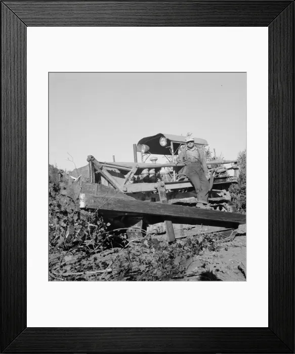 Framed Print : Possibly: Bulldozer raises and pushes stump on cut-over farm, Lewis County, Western Washington, 1939 Creator: Dorothea Lange Framed Print : Possibly: Bulldozer raises and pushes stump on cut-over farm, Lewis County, Western Washington, 1939 Creator: Dorothea Lange