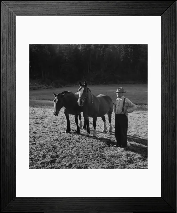 Framed Print : Farmer shown with his team... near Centralia, Lewis County, Wester Washington, 1939. Creator: Dorothea Lange Framed Print : Farmer shown with his team... near Centralia, Lewis County, Wester Washington, 1939. Creator: Dorothea Lange