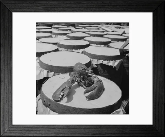 Framed Print : Possibly: A large lobster brought in by the New England fishing boat Fulton... New York, 1943. Creator: Gordon Parks Framed Print : Possibly: A large lobster brought in by the New England fishing boat Fulton... New York, 1943. Creator: Gordon Parks