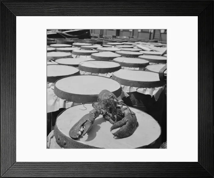Framed Print : A large lobster brought in by the New England fishing boat Fulton Fish Market, New York, 1943. Creator: Gordon Parks Framed Print : A large lobster brought in by the New England fishing boat Fulton Fish Market, New York, 1943. Creator: Gordon Parks