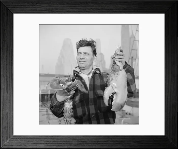 Framed Print : Dock stevedore at the Fulton fish market holding giant lobster claws, New York, 1943. Creator: Gordon Parks Framed Print : Dock stevedore at the Fulton fish market holding giant lobster claws, New York, 1943. Creator: Gordon Parks