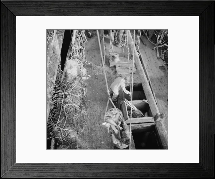 Framed Print : Dock stevedores at the Fulton fish market sending up baskets of fish... New York, 1943. Creator: Gordon Parks Framed Print : Dock stevedores at the Fulton fish market sending up baskets of fish... New York, 1943. Creator: Gordon Parks