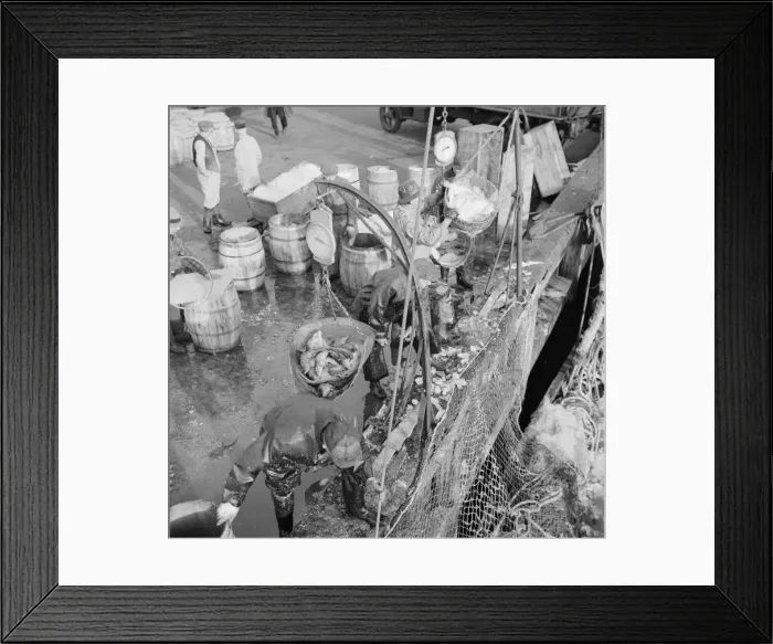 Framed Print : Stevedores at the Fulton fish market unloading fish from boats caught... New York, 1943. Creator: Gordon Parks