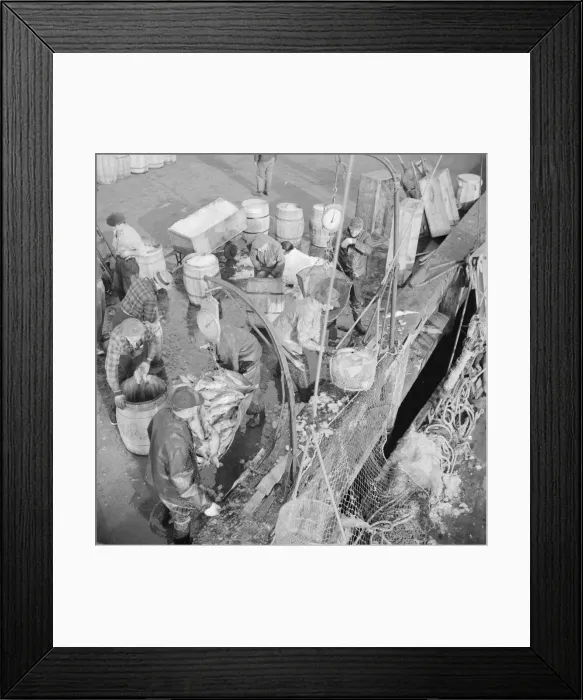 Framed Print : Stevedores at the Fulton fish market unloading fish from boats caught... New York, 1943. Creator: Gordon Parks Framed Print : Stevedores at the Fulton fish market unloading fish from boats caught... New York, 1943. Creator: Gordon Parks