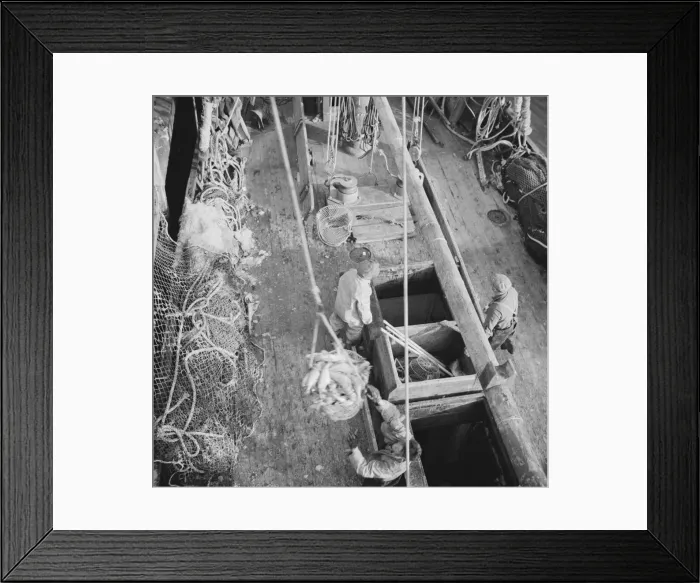 Framed Print : Dock stevedores at the Fulton fish market sending up baskets of fish from... New York, 1943. Creator: Gordon Parks Framed Print : Dock stevedores at the Fulton fish market sending up baskets of fish from... New York, 1943. Creator: Gordon Parks
