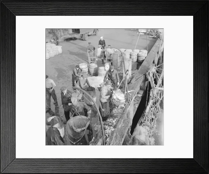 Framed Print : Dock stevedores at the Fulton fish market sending up baskets of fish... New York, 1943. Creator: Gordon Parks Framed Print : Dock stevedores at the Fulton fish market sending up baskets of fish... New York, 1943. Creator: Gordon Parks