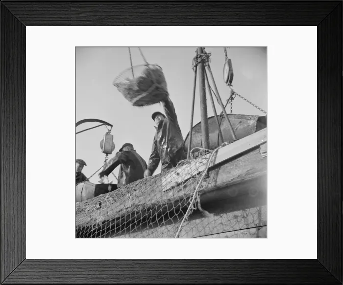 Framed Print : Dock stevedores at the Fulton fish market sending up baskets of fish... New York, 1943. Creator: Gordon Parks Framed Print : Dock stevedores at the Fulton fish market sending up baskets of fish... New York, 1943. Creator: Gordon Parks