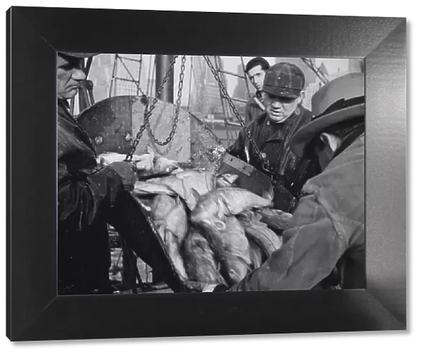Possibly: New England fishermen unloading fish at Fulton fish market, New York, 1943. Creator: Gordon Parks
