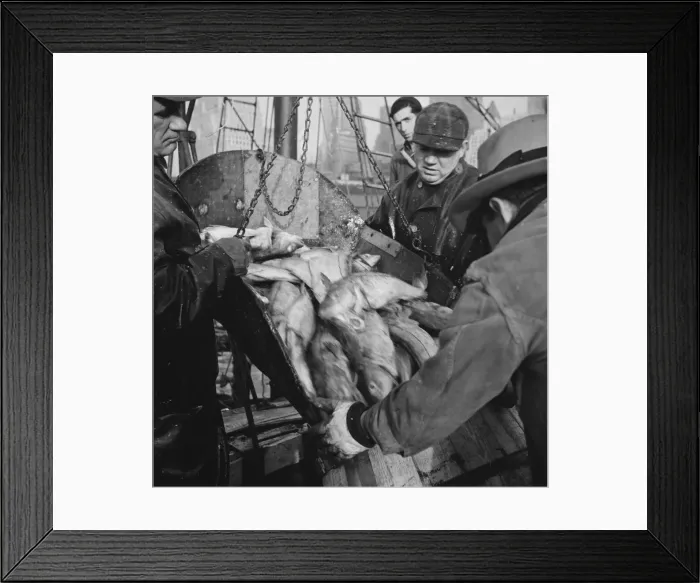 Framed Print : Possibly: New England fishermen unloading fish at Fulton fish market, New York, 1943. Creator: Gordon Parks Framed Print : Possibly: New England fishermen unloading fish at Fulton fish market, New York, 1943. Creator: Gordon Parks