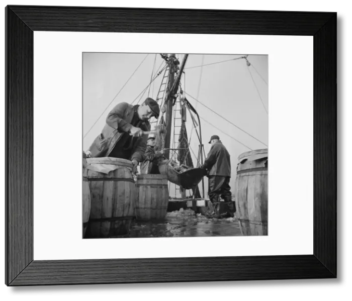 Framed Print : Unloading and packing fish at the Fulton fish market, New York, 1943. Creator: Gordon Parks Framed Print : Unloading and packing fish at the Fulton fish market, New York, 1943. Creator: Gordon Parks