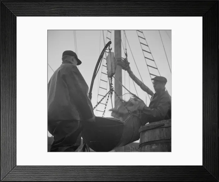 Framed Print : Possibly: New England fishermen unloading fish at the Fulton fish market, New York, 1943. Creator: Gordon Parks Framed Print : Possibly: New England fishermen unloading fish at the Fulton fish market, New York, 1943. Creator: Gordon Parks