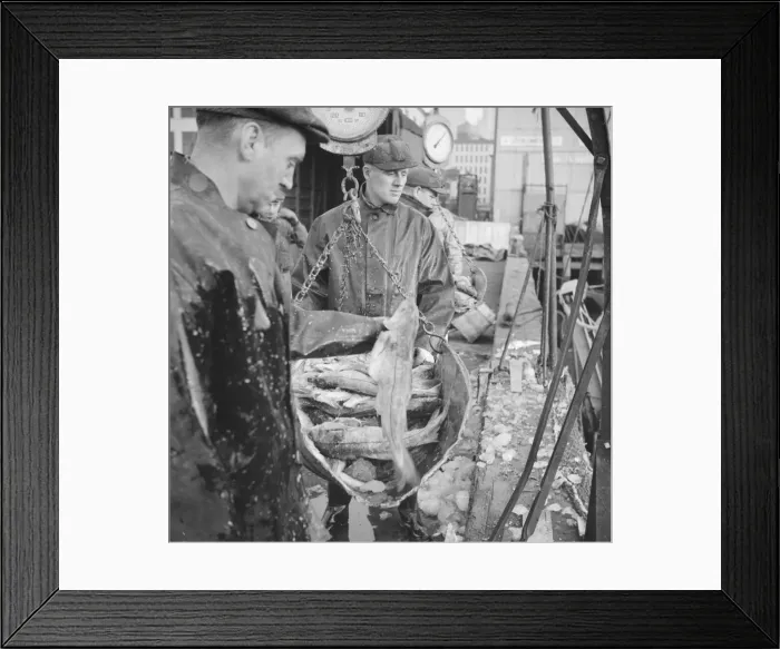 Framed Print : Possibly: New England fishermen unloading fish at the Fulton fish market, New York, 1943. Creator: Gordon Parks Framed Print : Possibly: New England fishermen unloading fish at the Fulton fish market, New York, 1943. Creator: Gordon Parks