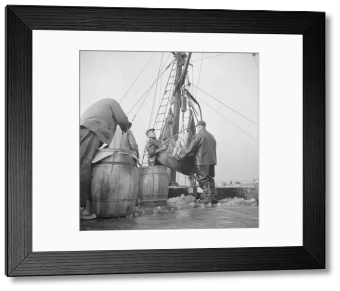 Framed Print : Possibly: New England fishermen unloading fish at the Fulton fish market, New York, 1943. Creator: Gordon Parks Framed Print : Possibly: New England fishermen unloading fish at the Fulton fish market, New York, 1943. Creator: Gordon Parks